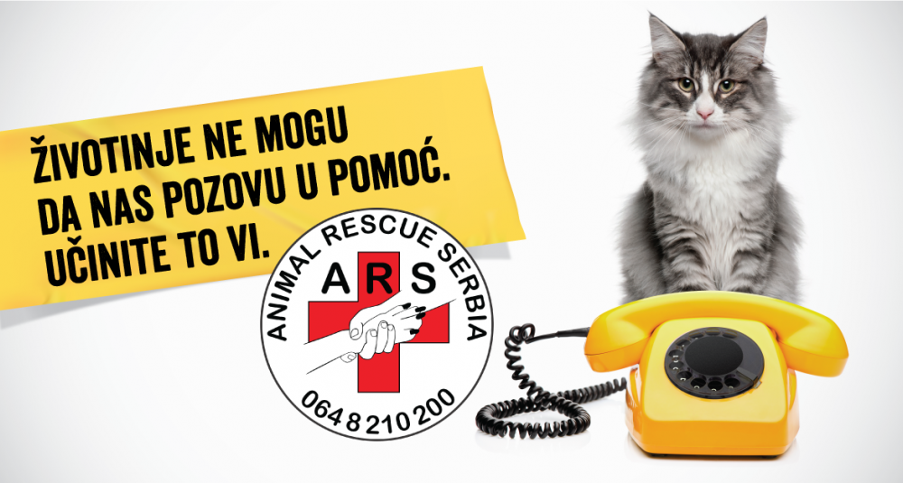 životinje ne mogu da pozovu u pomoć ali, vi možete  block&roll