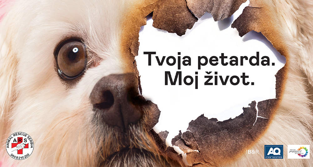 praznici za sve block&roll